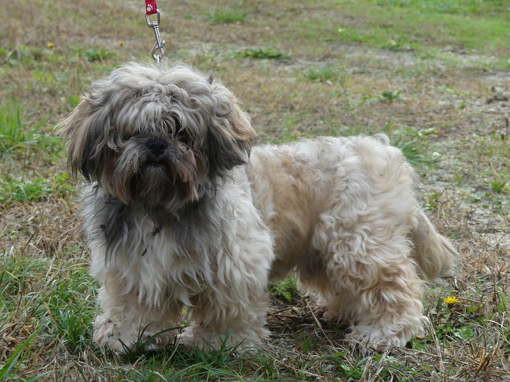 Marius (Sans Affixe)